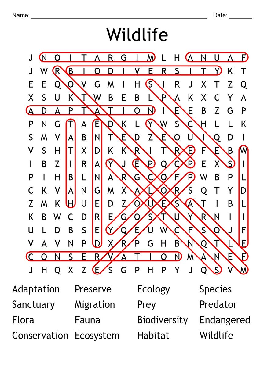 Printable Wildlife Word Search – 16 Key Terms! product image (2)