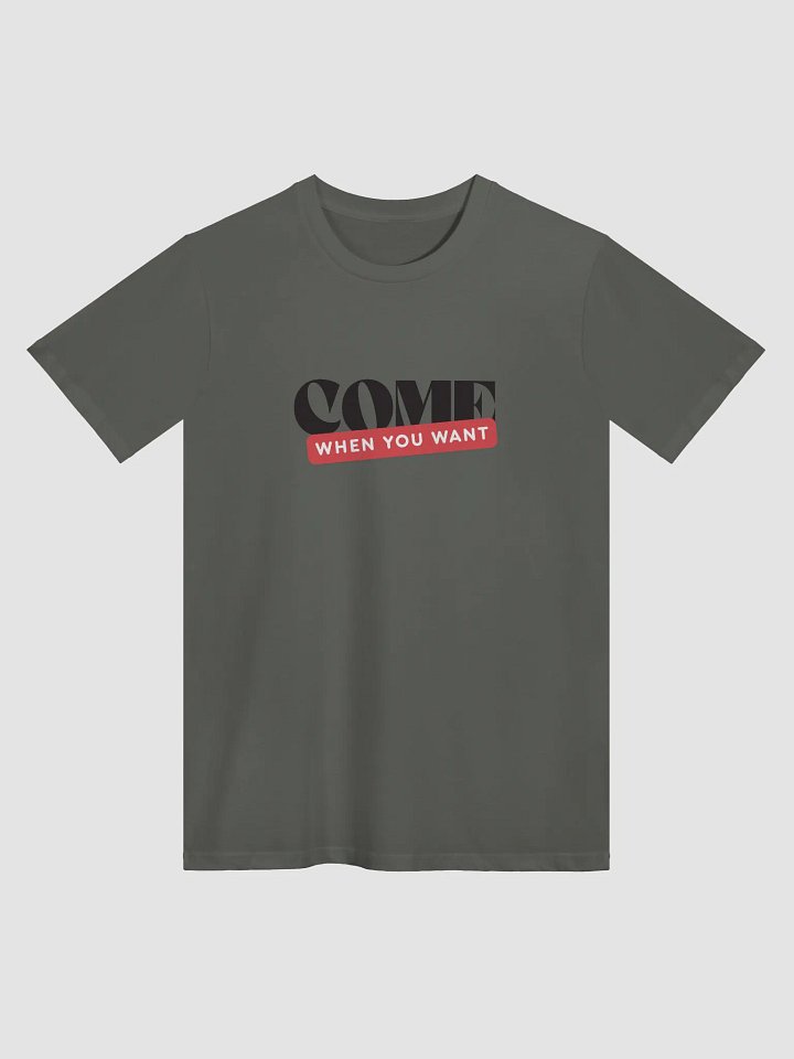 Come When You Want product image (2)