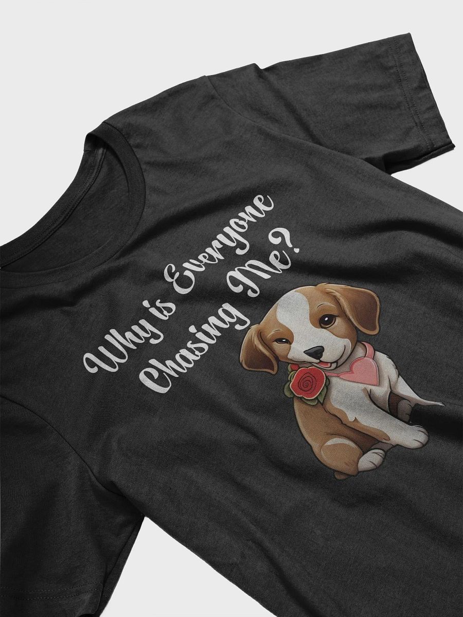 Why is Everyone Chasing me T-Shirt product image (25)