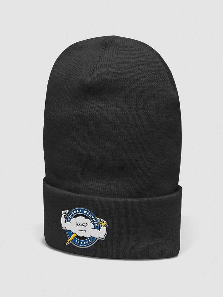 Whiskey Weather Cuffed Beanie product image (7)