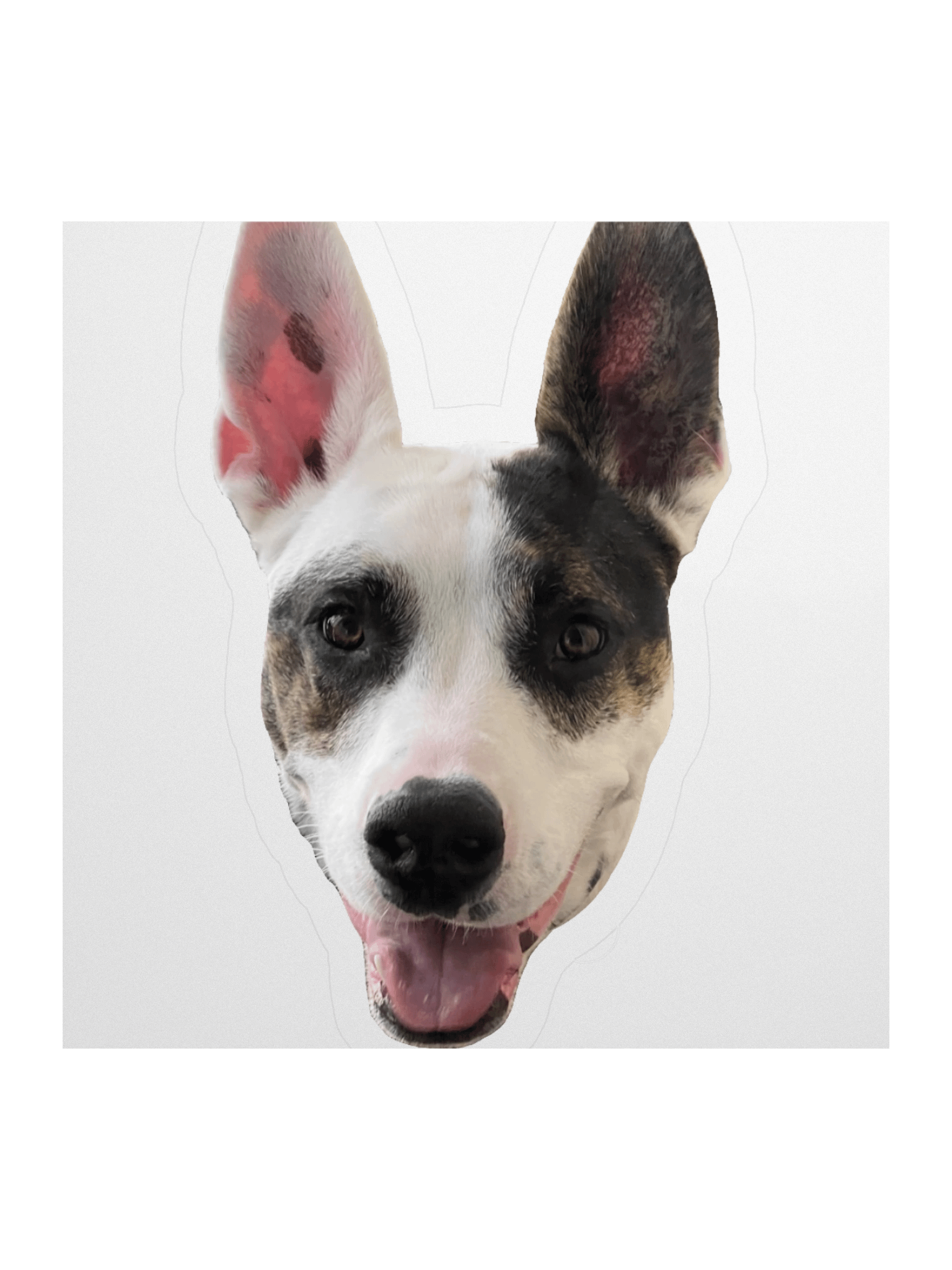Sagey Sticker product image (2)