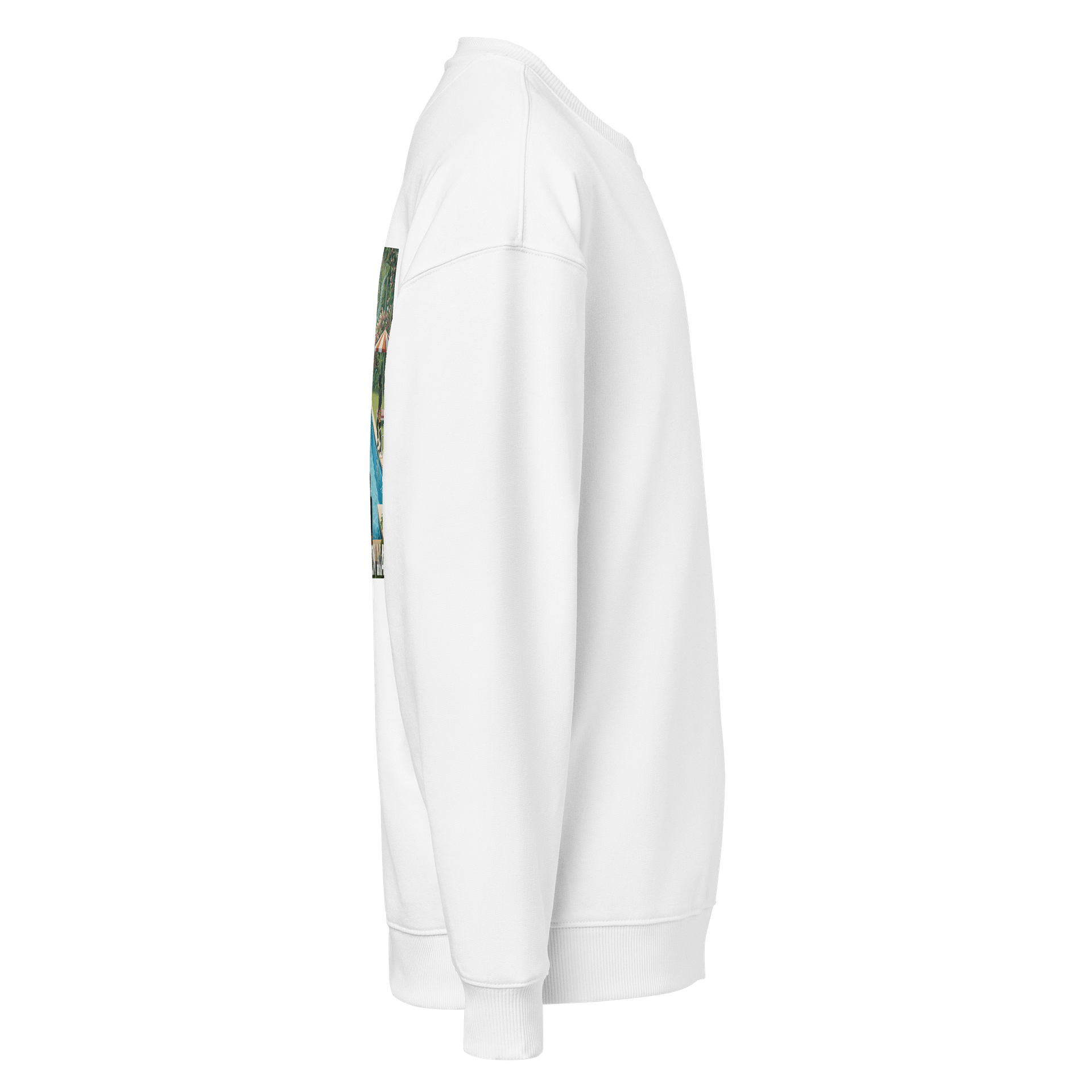 Saltwater Pool Premium Sweatshirt - JASON MADE product image (4)