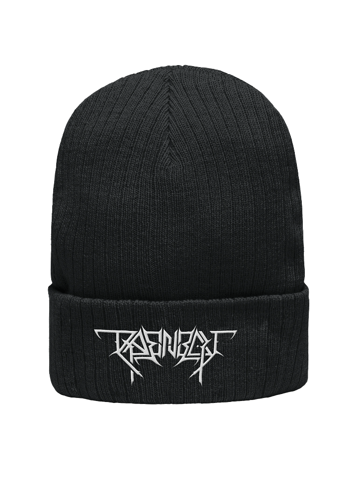 Thrash RAENBOU Beanie product image (1)
