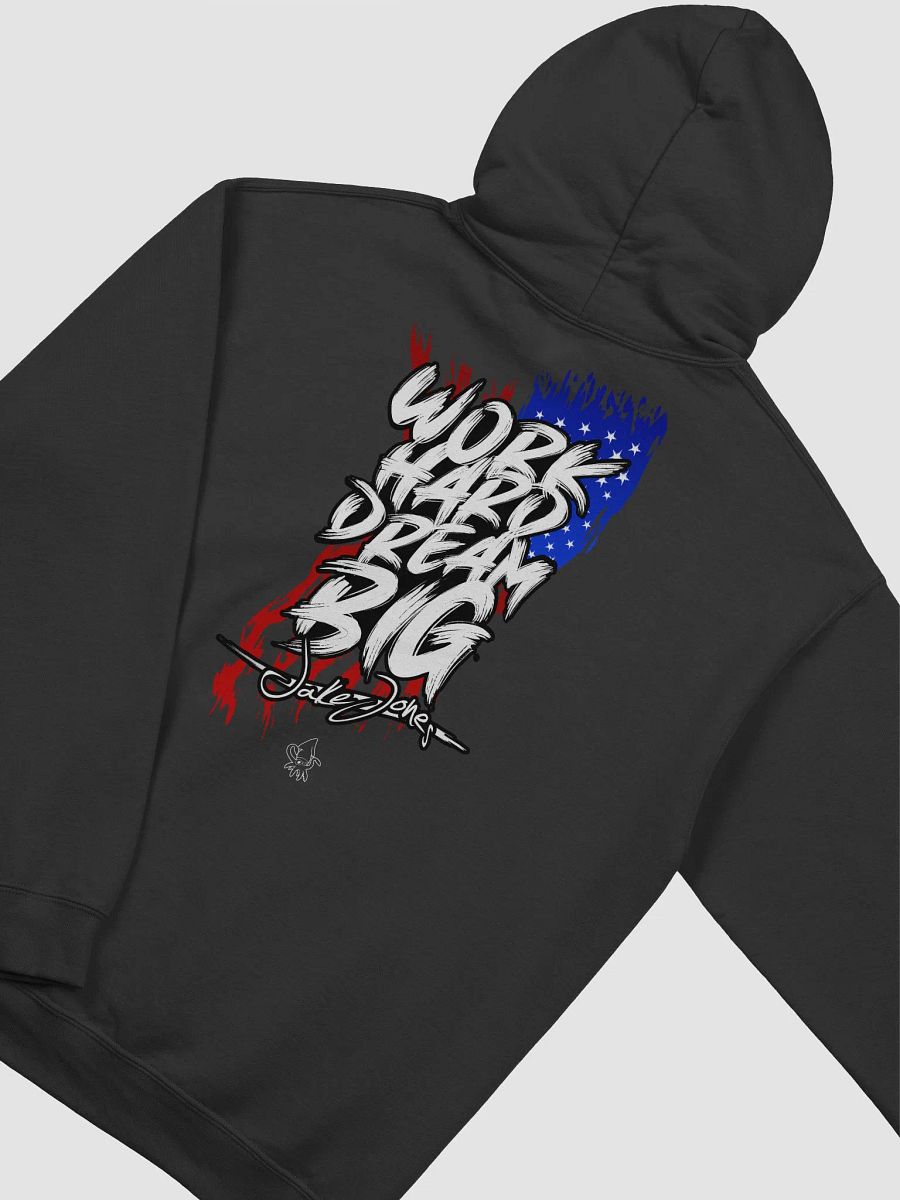 USA TOUR HOODIE product image (3)