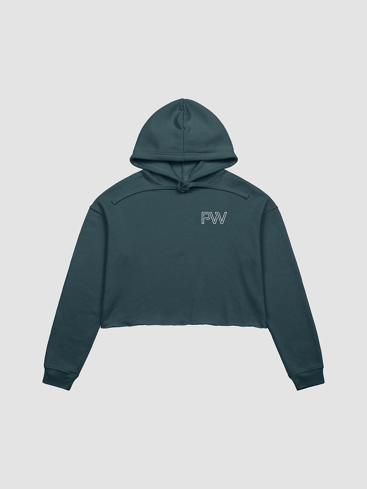 PW & vertical planets cropped hoodie product image (1)