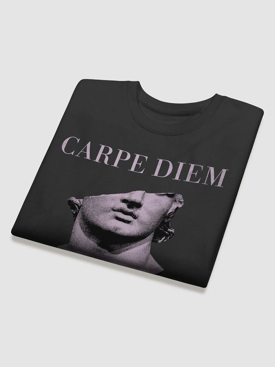 Carpe Diem Statue Sweatshirt product image (3)