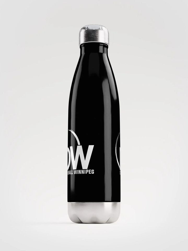 Dodgeball Winnipeg Stainless Steel Water Bottle product image (2)