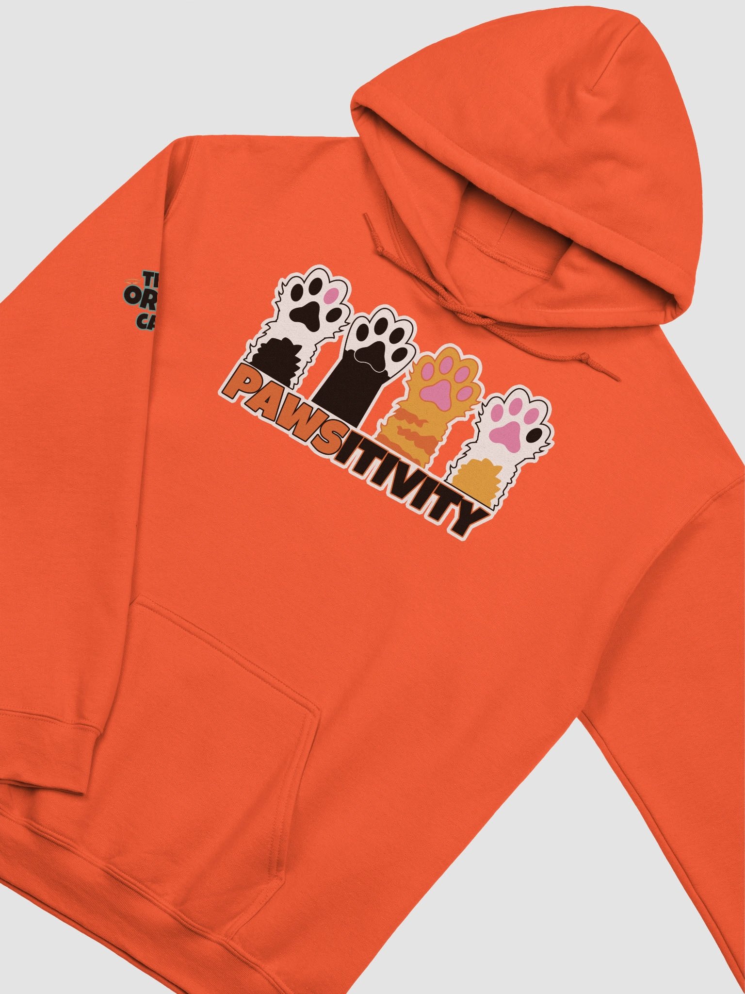 Pawsitivity Hoodie product image (19)