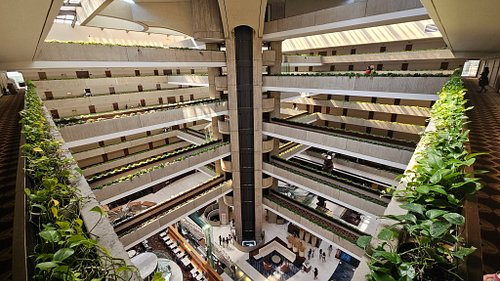K-Mill was feeling a little...dejavu at the Hyatt Regency O’Hare Chicago this weekend

.
.

@fanexpochicago #fandom #geek #ma...