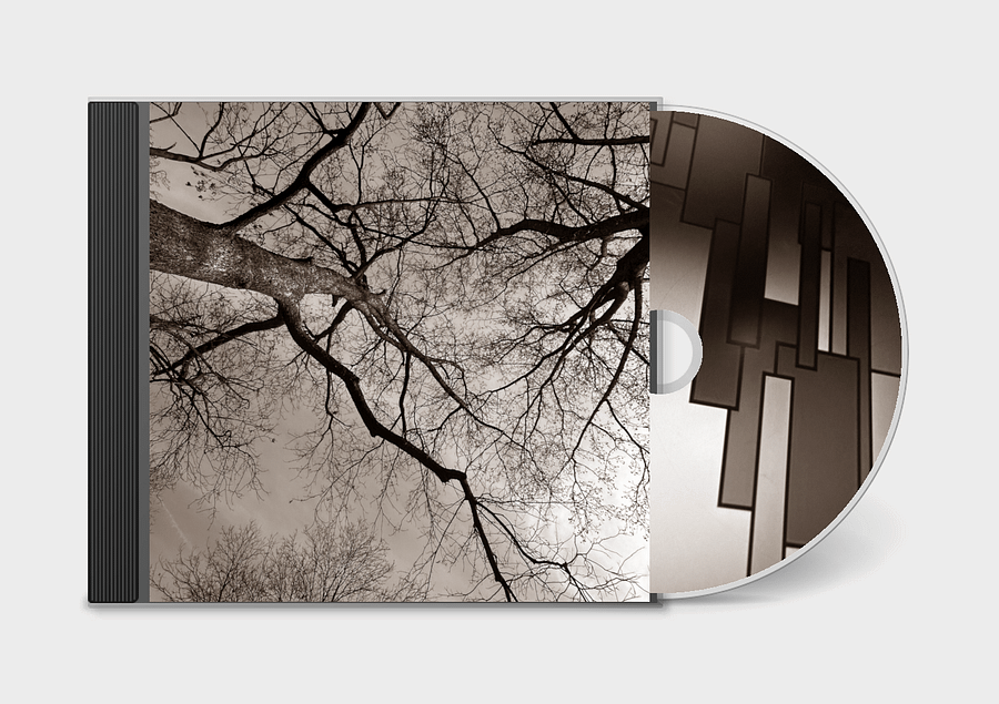Branches - CD product image (2)