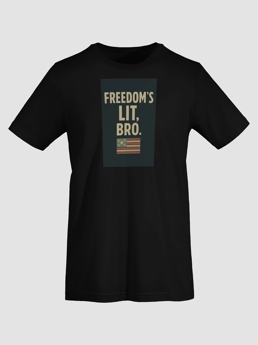 Freedom’s Lit, Bro — Vintage Tee product image (7)