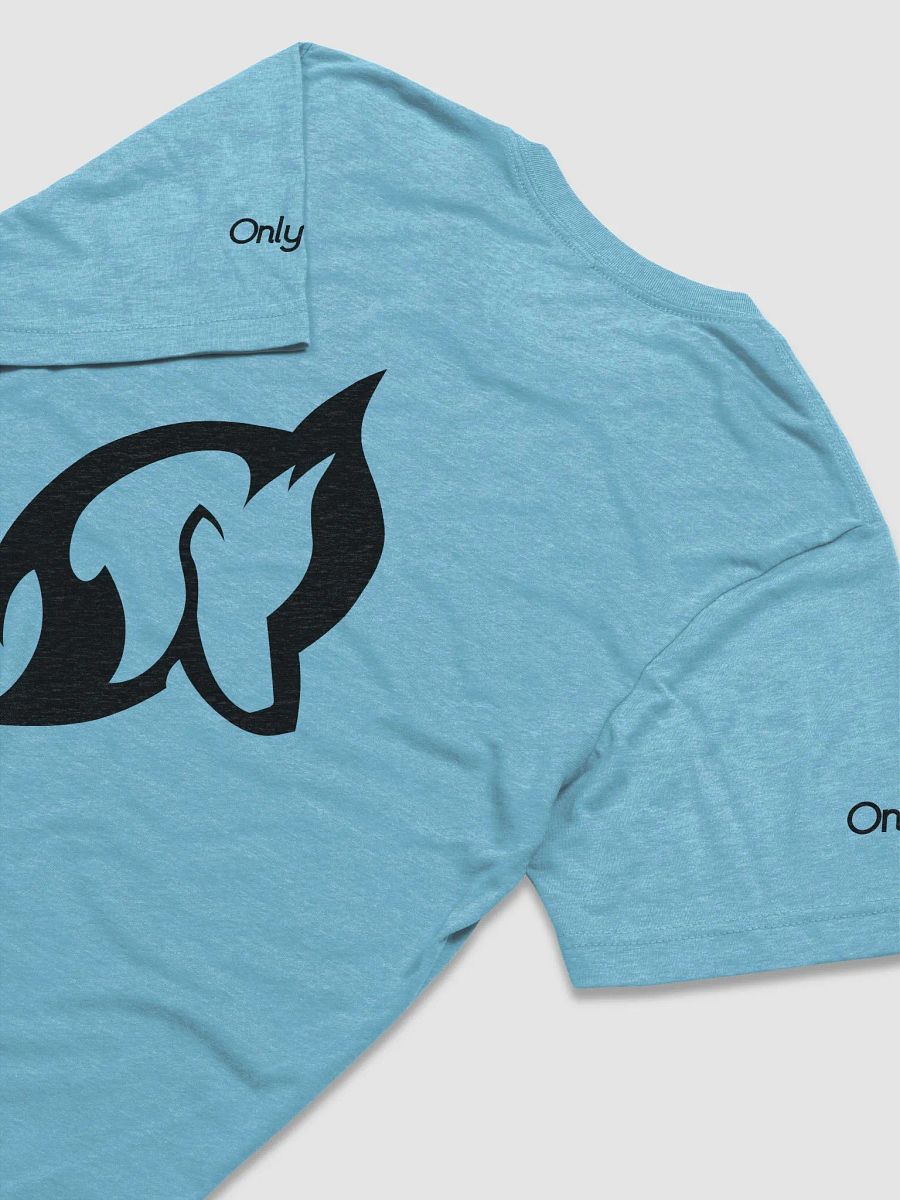 Onlychans T-shirt(light) product image (4)