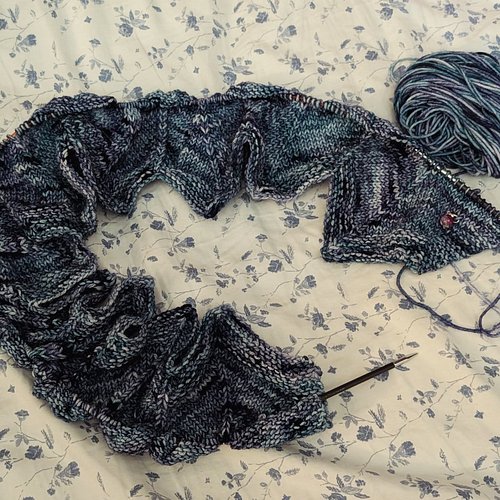 Ocean Waves blanket progress! I am almost through the first skein. The pattern is super easy and I am loving how the yarn is ...