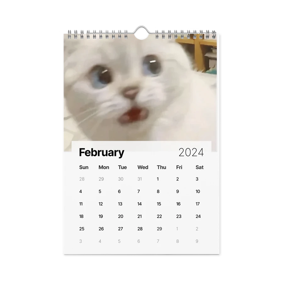 Wall Calendar (2024): Meme Cats product image (7)