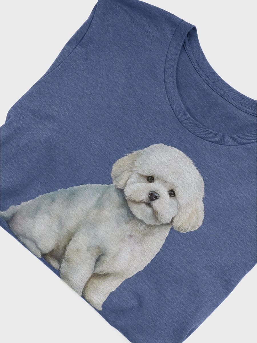Bichon Frisé product image (3)
