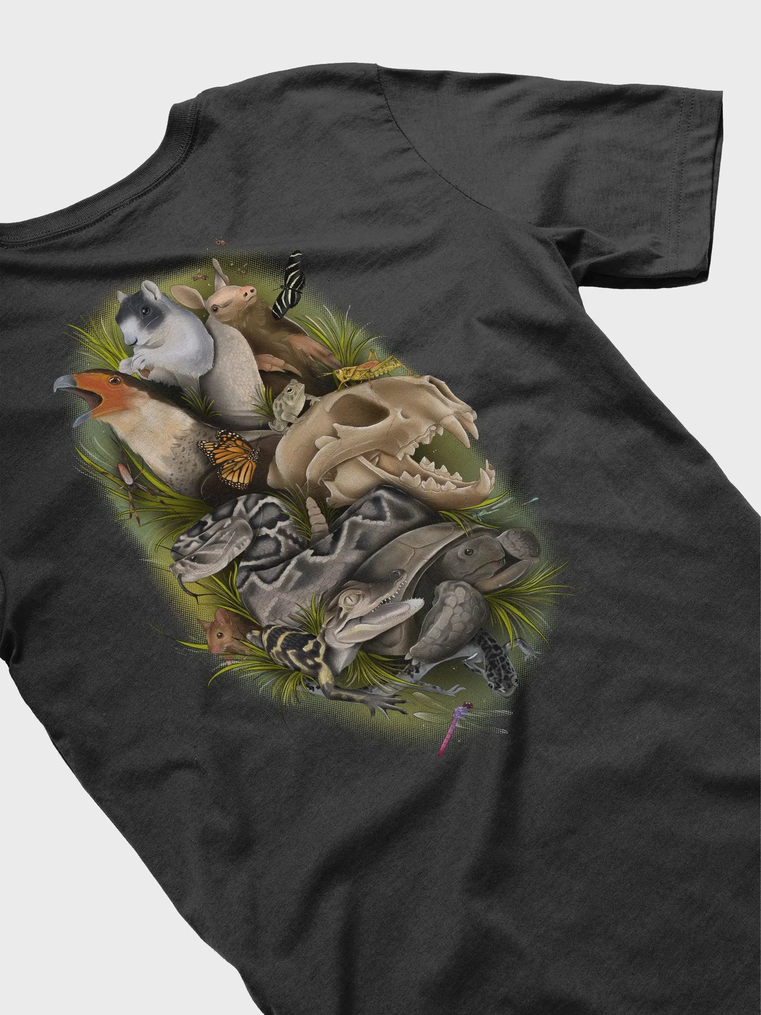 Wild Animals of Florida product image (1)