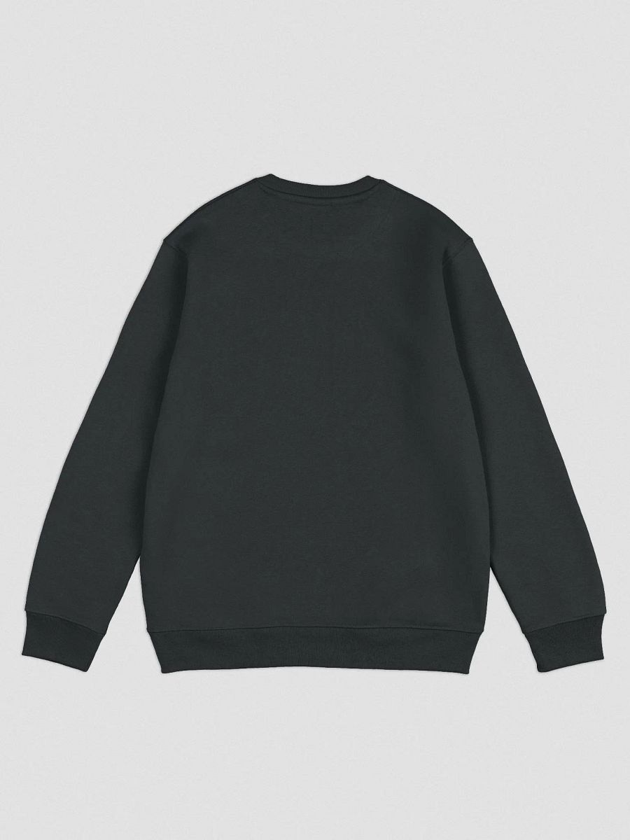 S Bolt Logo Crew Neck - Dark product image (4)