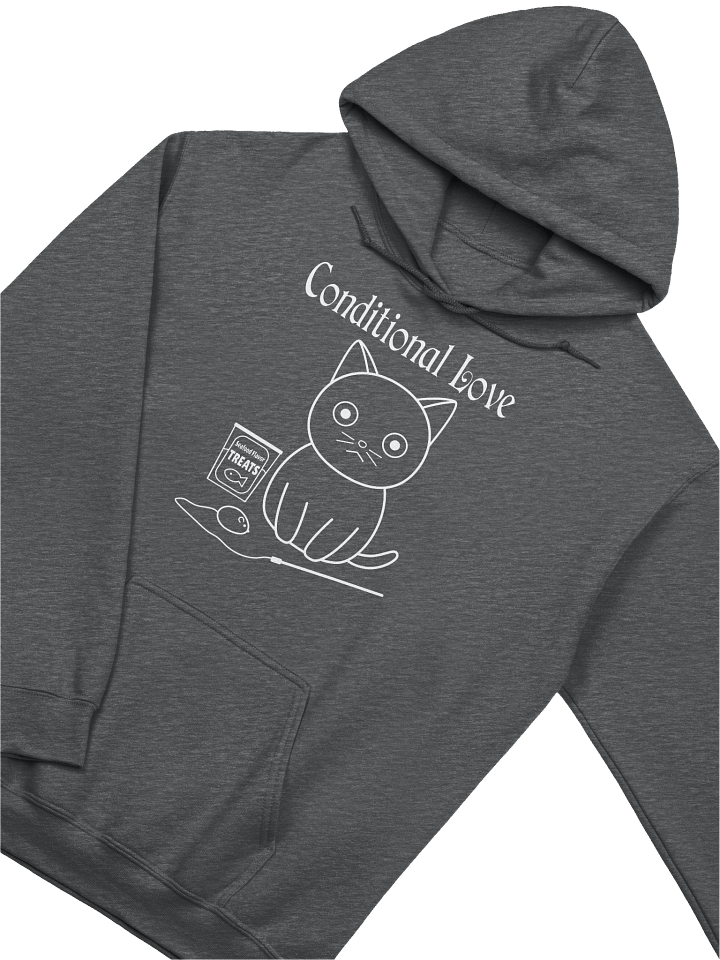 Conditional Love - Unisex Adult Hoodie product image (8)