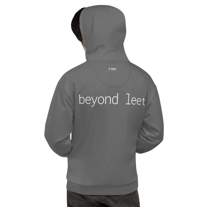 1338, beyond leet hoodie (dark grayscale mode) product image (1)