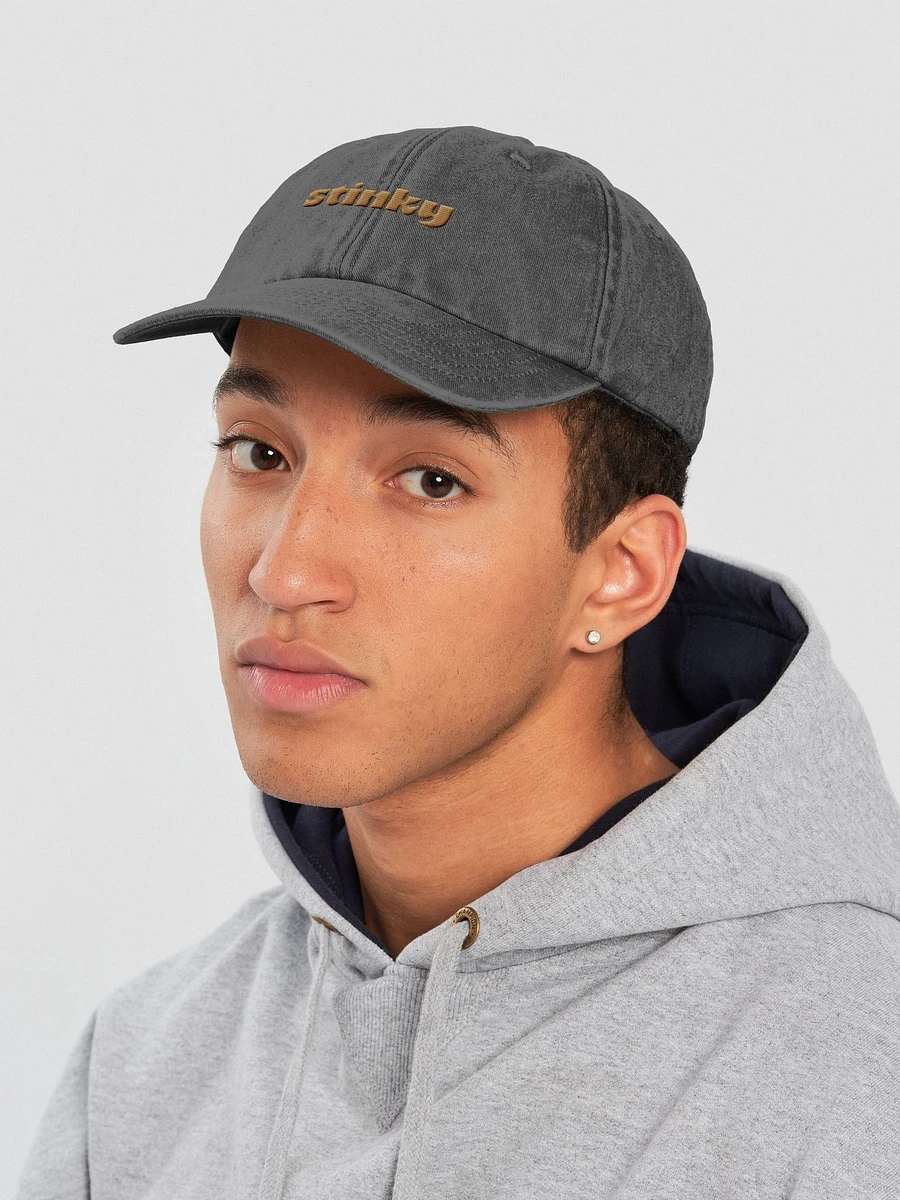STINKY DAD HAT product image (5)