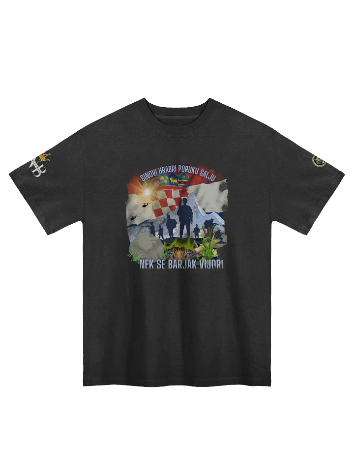 Crowned PNB Oversized Faded T-Shirt Tigrovi Oluja95 product image (1)
