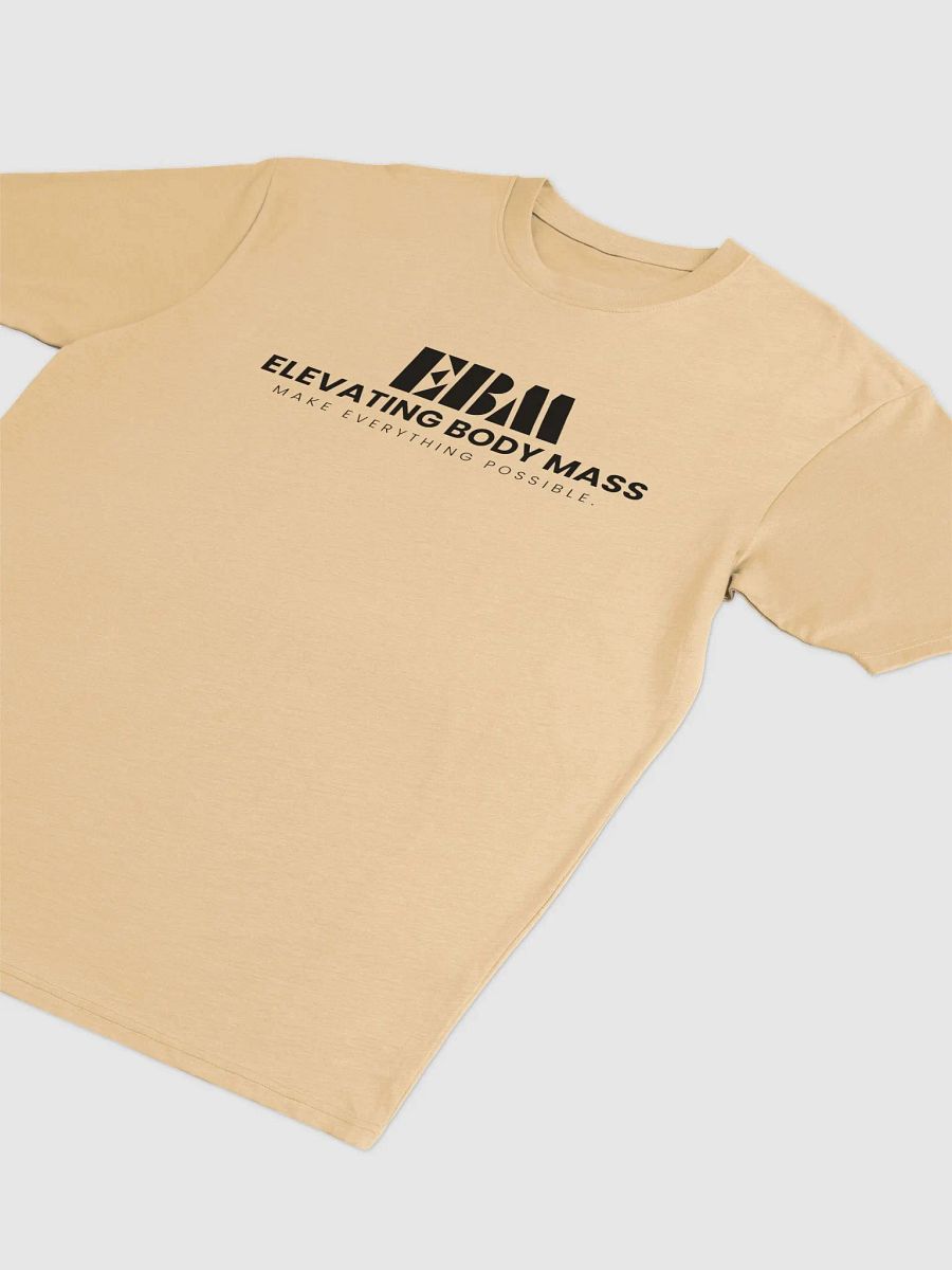 EBM Heavyweight Tees (Black Logo) product image (3)