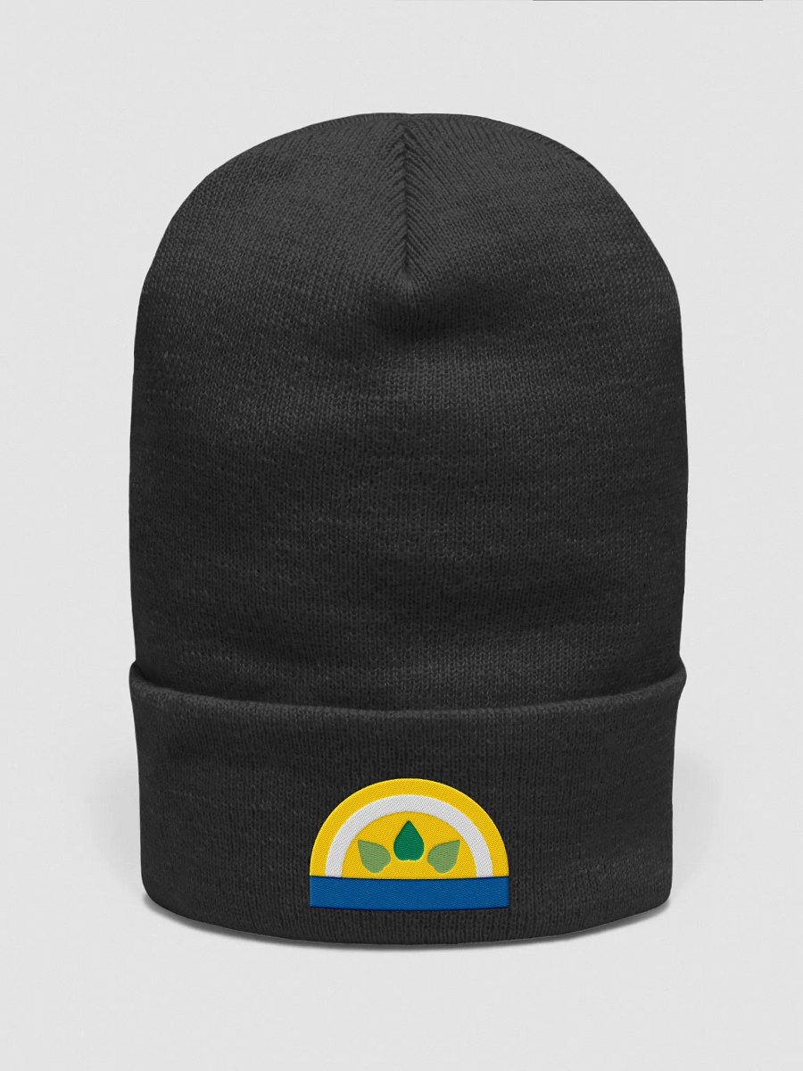 Sun winter cap product image (1)