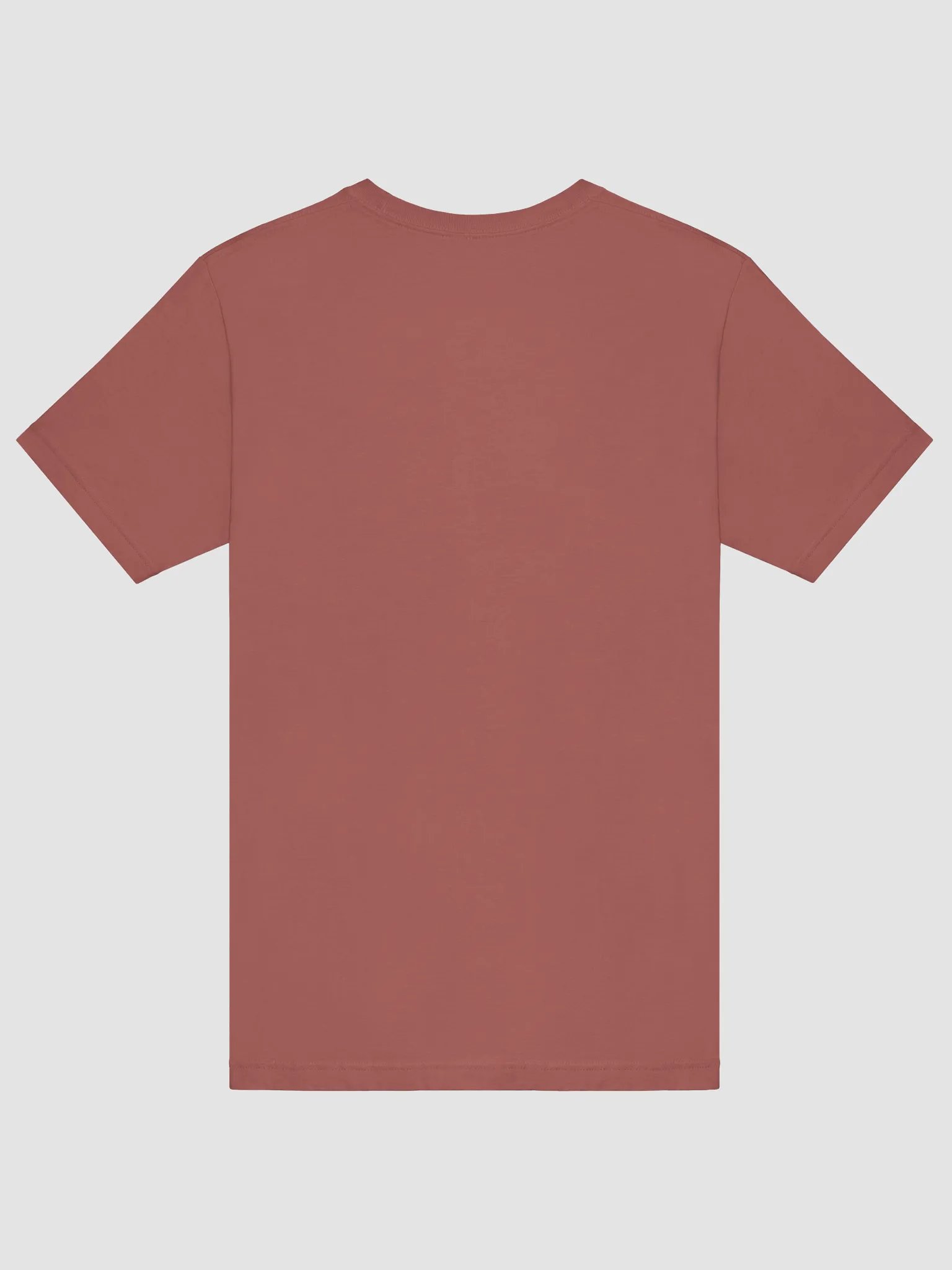 Bella+Canvas Iconic T-Shirt: Embrace Tradition product image (2)