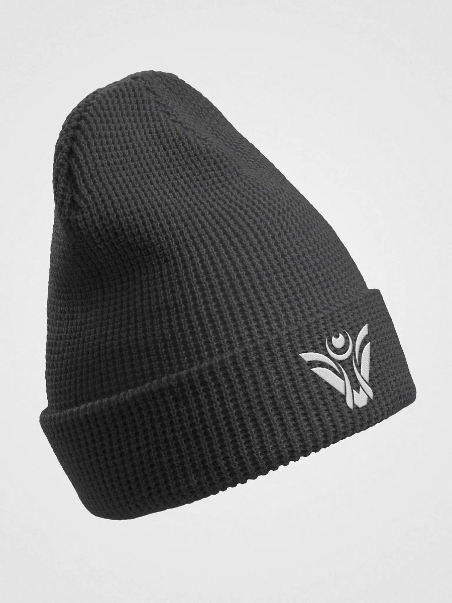Visionary Beanie product image (3)