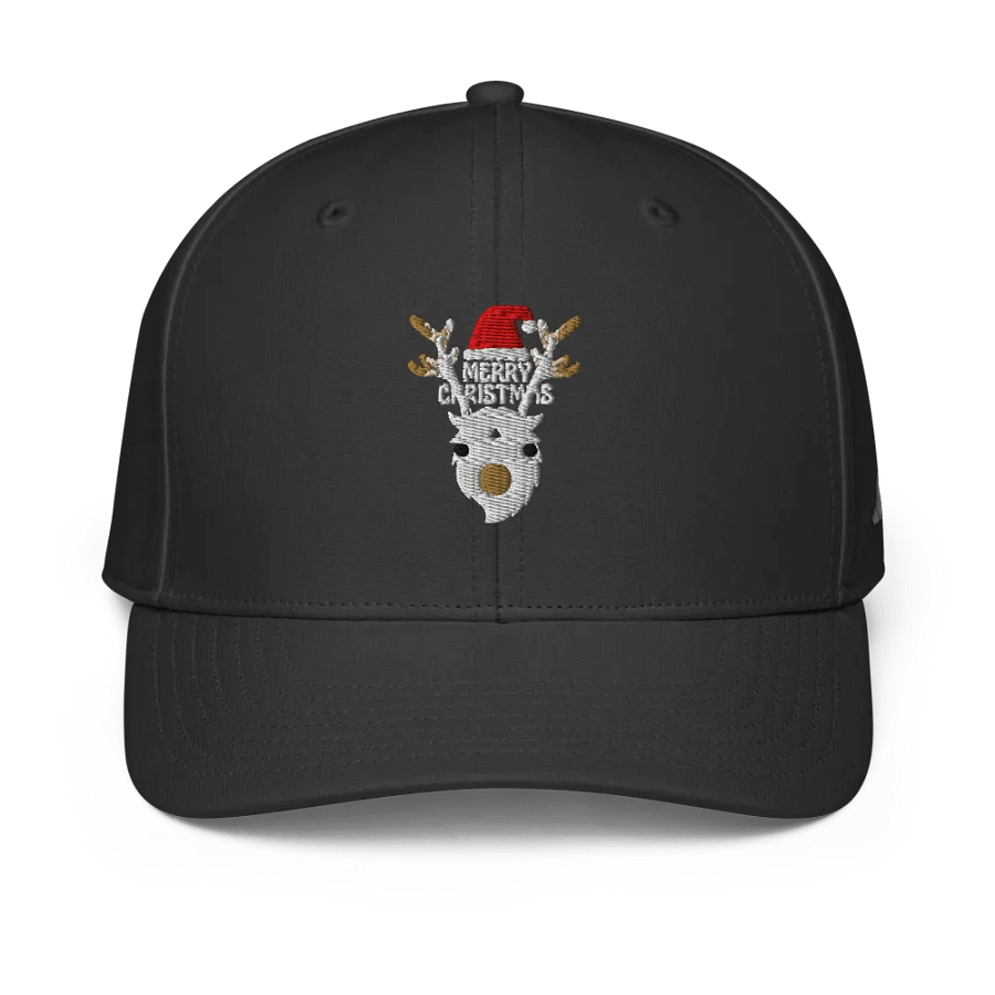 Festive Reindeer Santa Hat product image (1)
