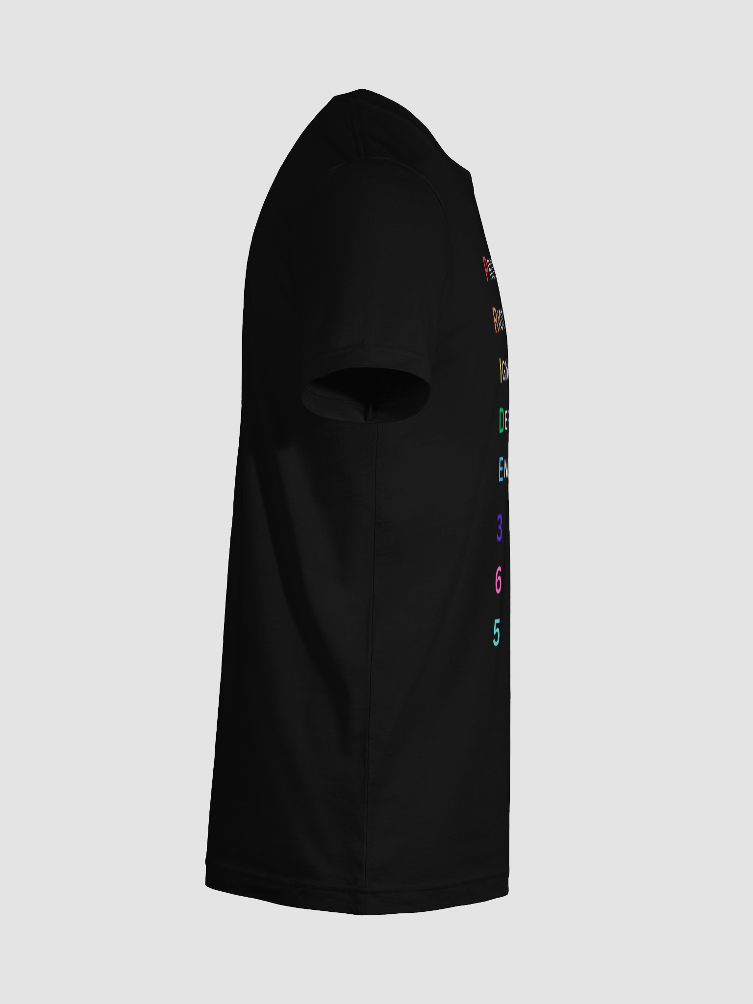 Pride 365 (protest, riot, ignite, endure) Tee product image (72)