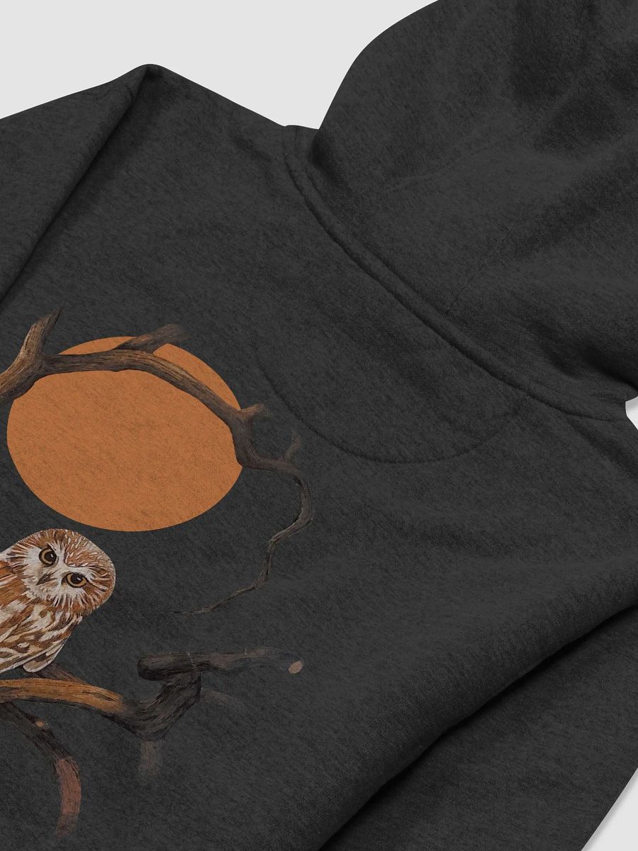 Fall Edition Hoodie product image (14)