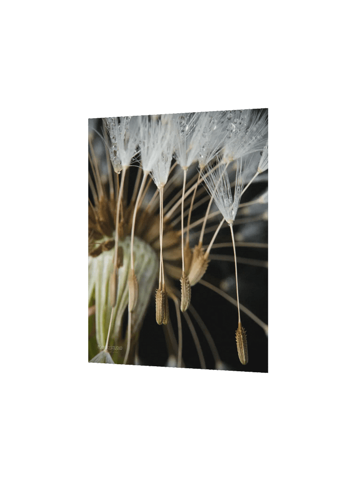Rapture - Poster product image (4)