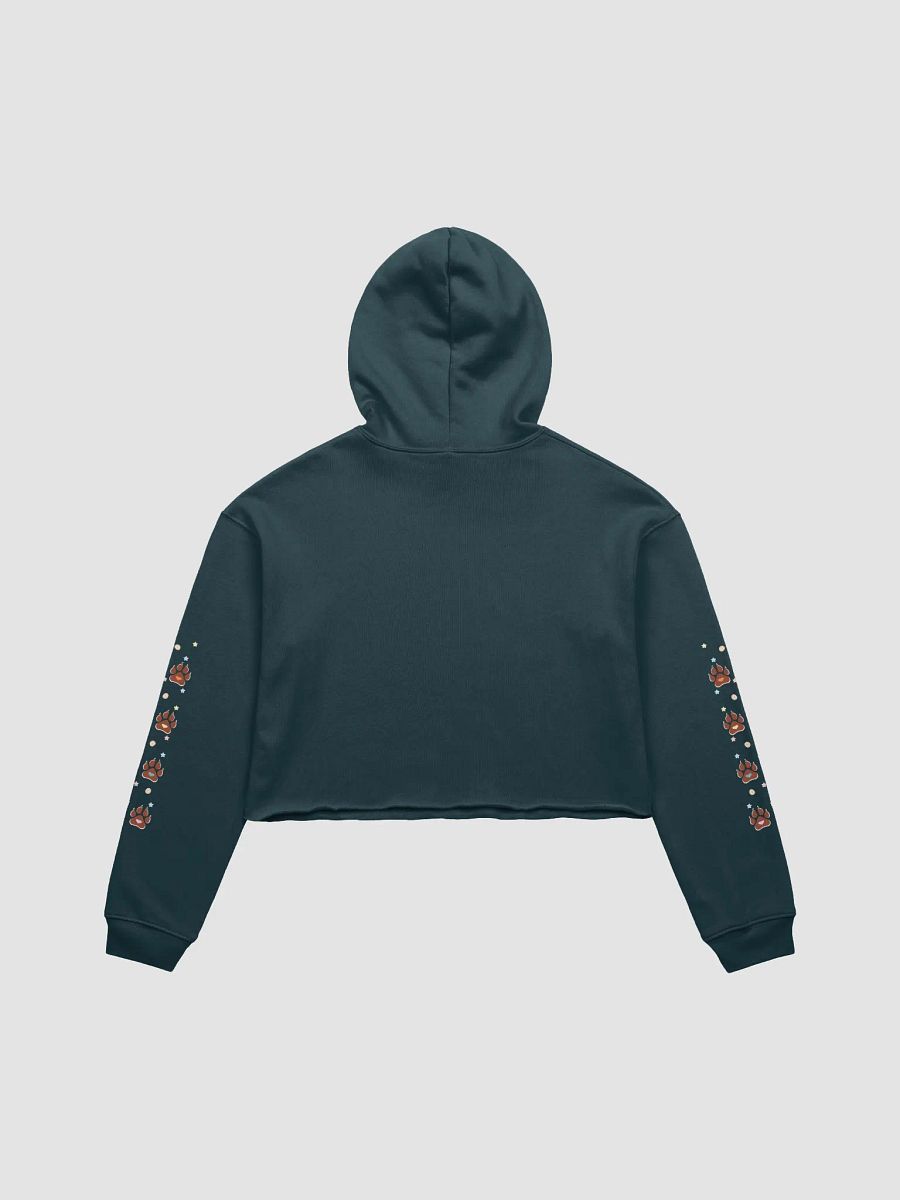 Cozy Chic Crop Hoodie | LLG product image (13)