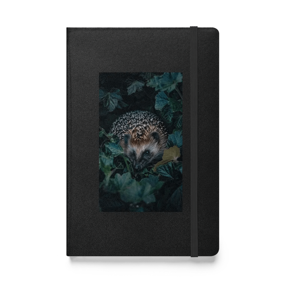 Whimsical Hedgehog Hardcover Notebook product image (1)