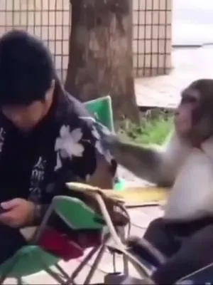 serious discussion 