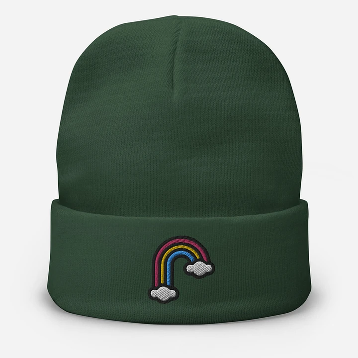 Gay Embroidered Beanie product image (4)