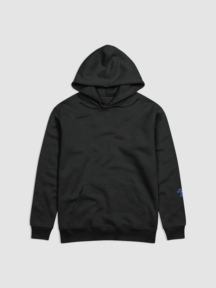 BlushSki Essential Eco Hoodie product image (1)
