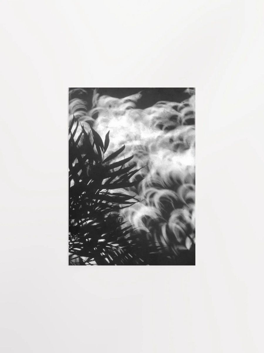 Crescents of Light from the Eclipse - Poster 1 product image (7)
