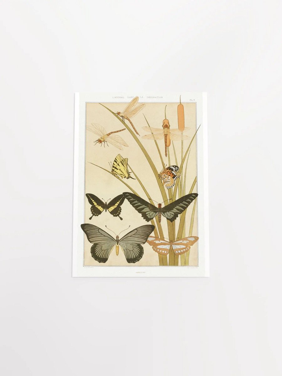 Butterflies - Papillons product image (16)