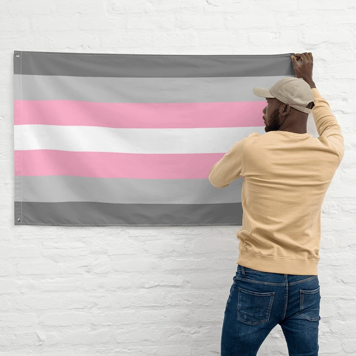 Demigirl Pride Flag product image (2)