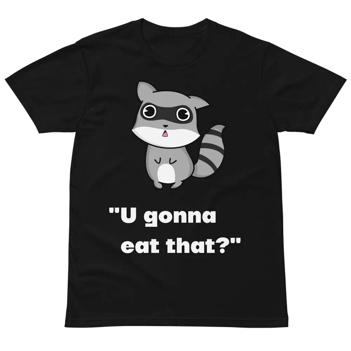 Raccoon Interest product image (1)