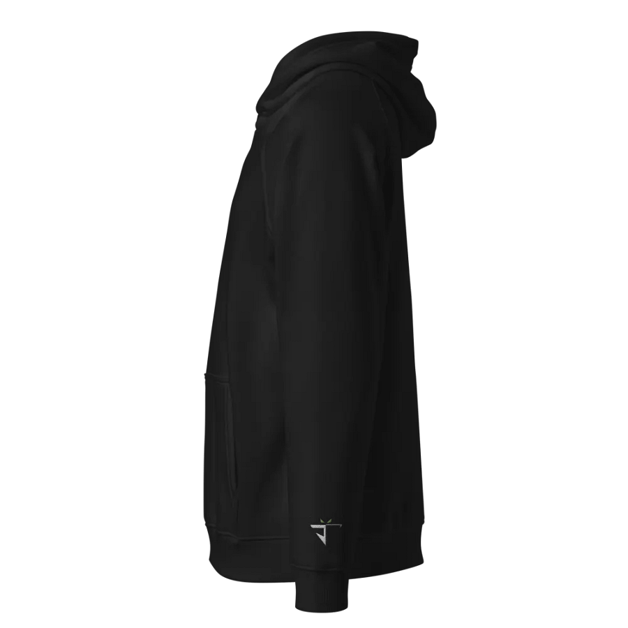 100 Point Club Hoodie product image (2)
