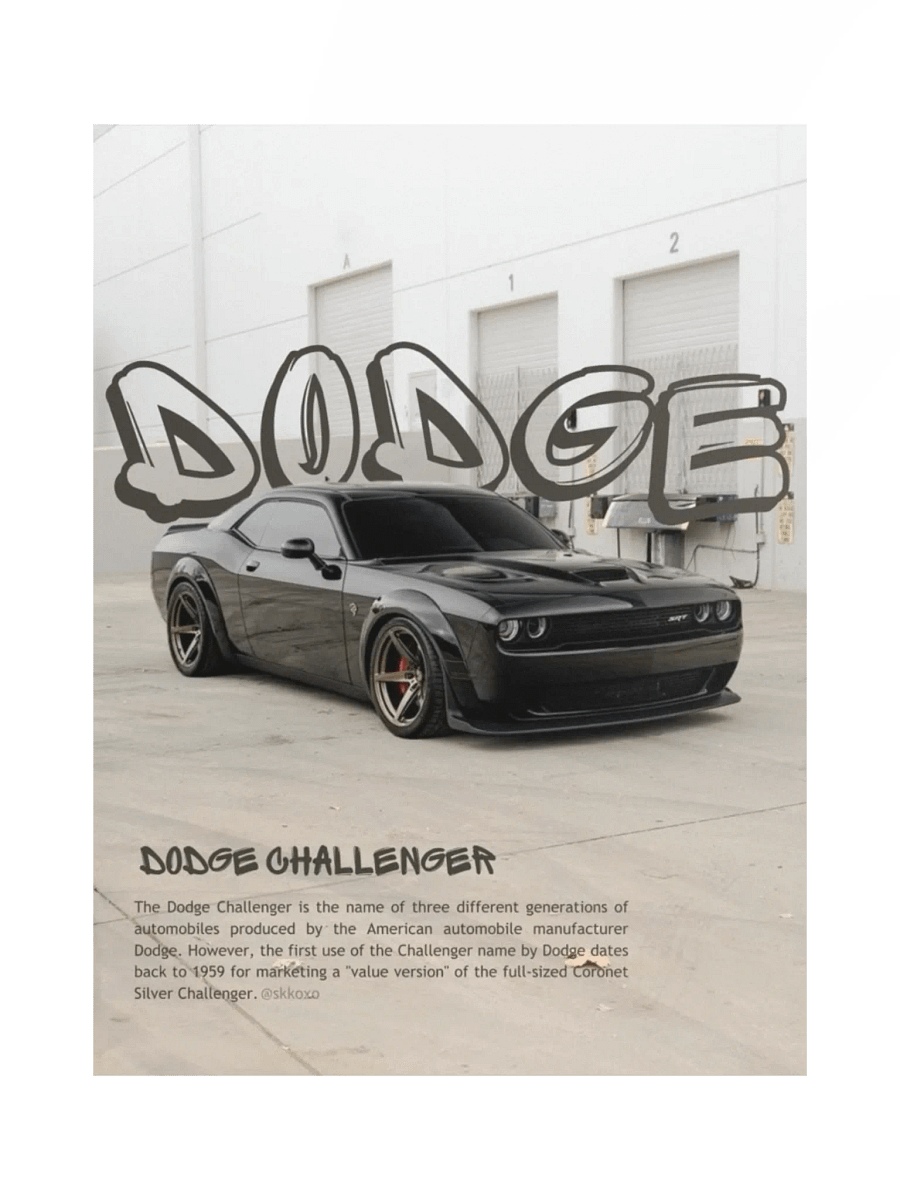 DODGE product image (1)
