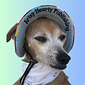 Artsy Hearty Publishing