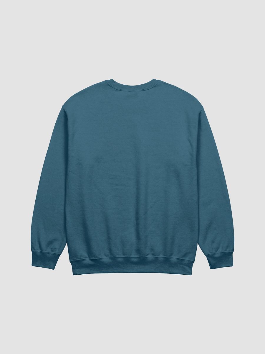 BVR | GEO Earth Crewneck Sweatshirt product image (2)