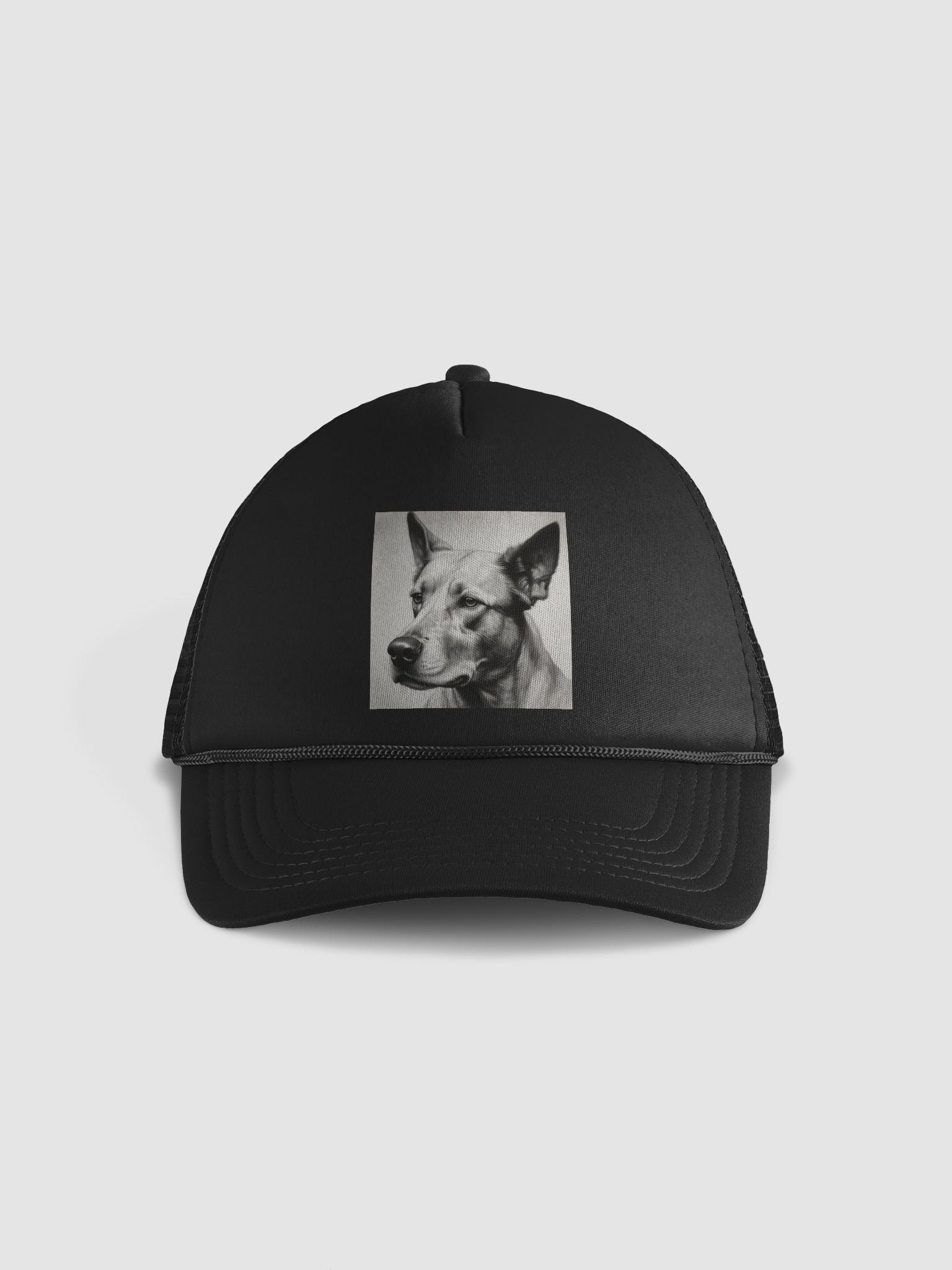 Dog product image (2)