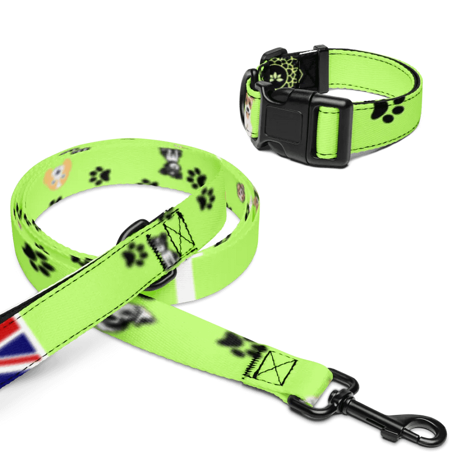 Iconic British Pet Collar & Leash Set product image (10)