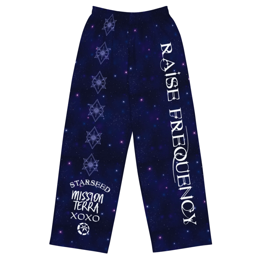 Starborn Mission Terra Wide-Leg Pants product image (5)