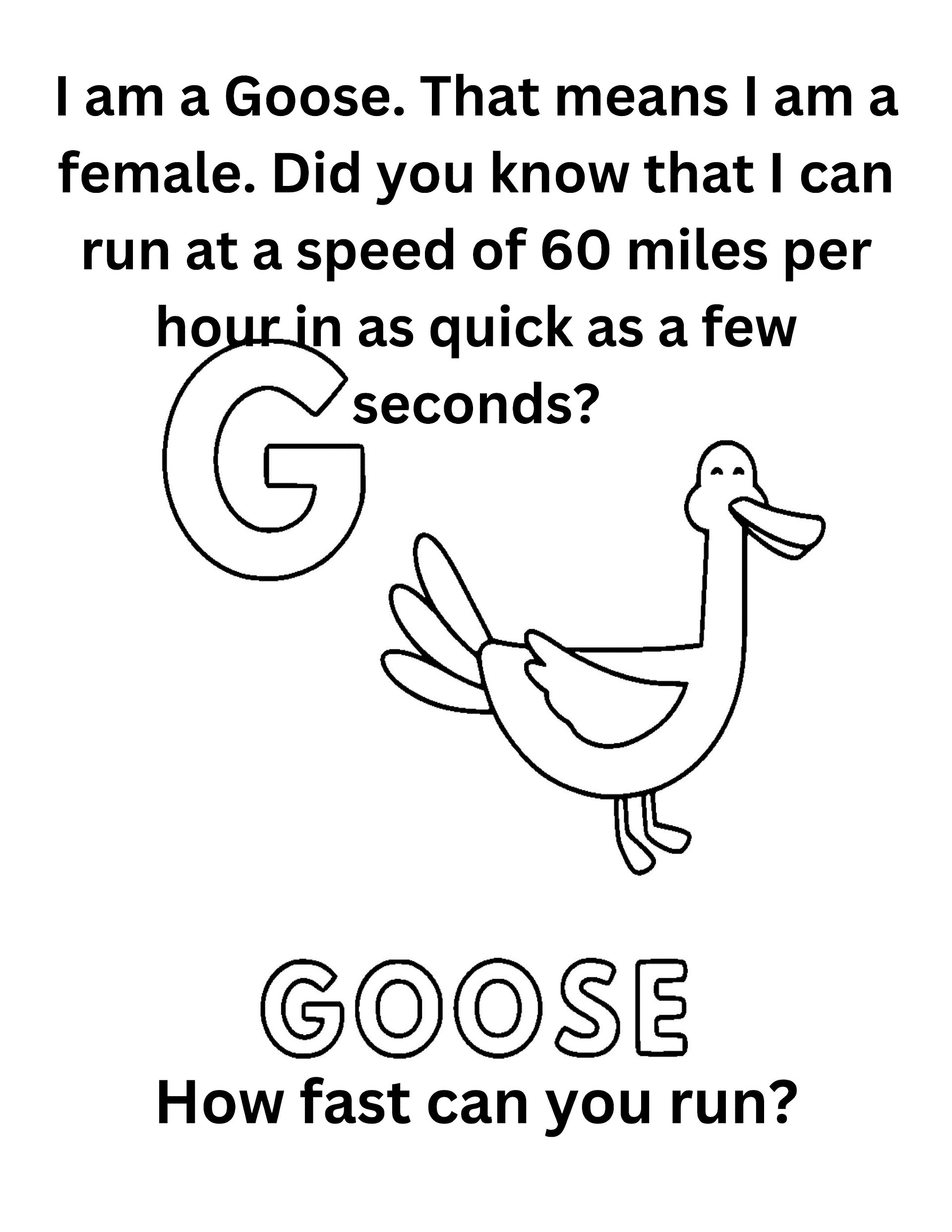 "Did You Know" Animal Facts Alphabet Coloring Pages product image (8)
